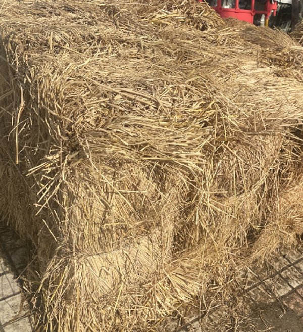 仿古裝修 仿古裝修